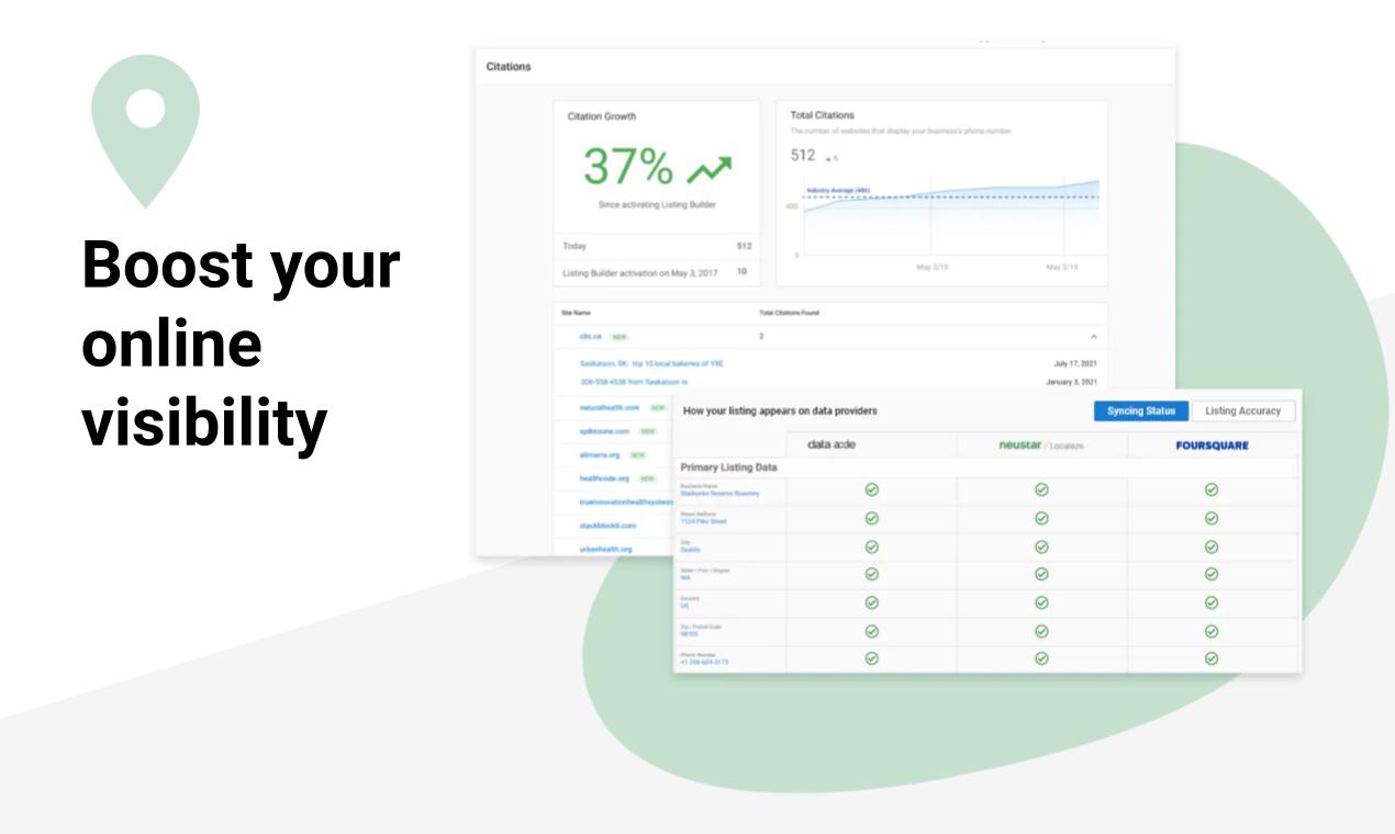 Local SEO dashboard preview
